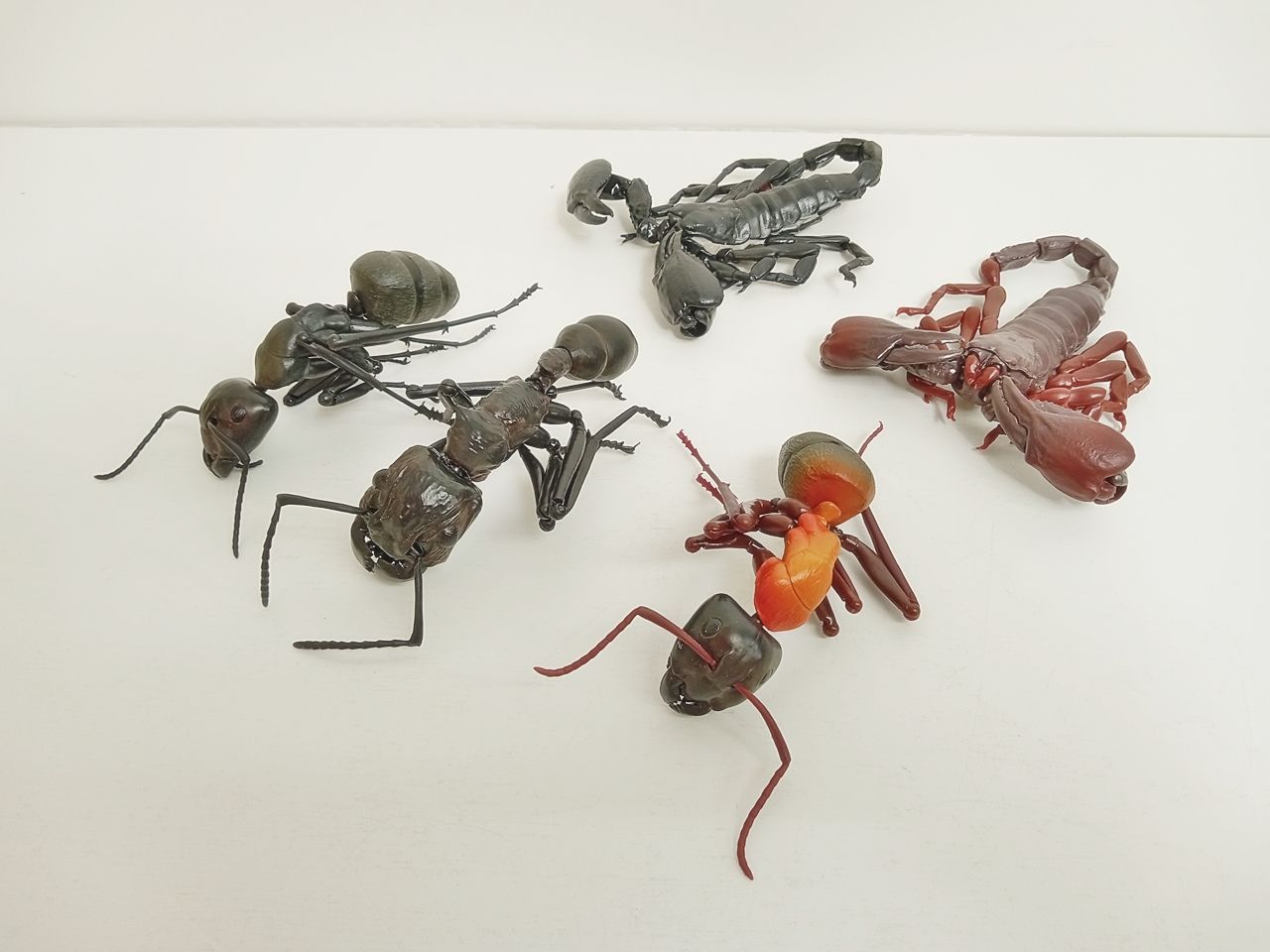 いきもの大図鑑 あり サソリ 5点セット まとめ売り 本体のみ【アリ