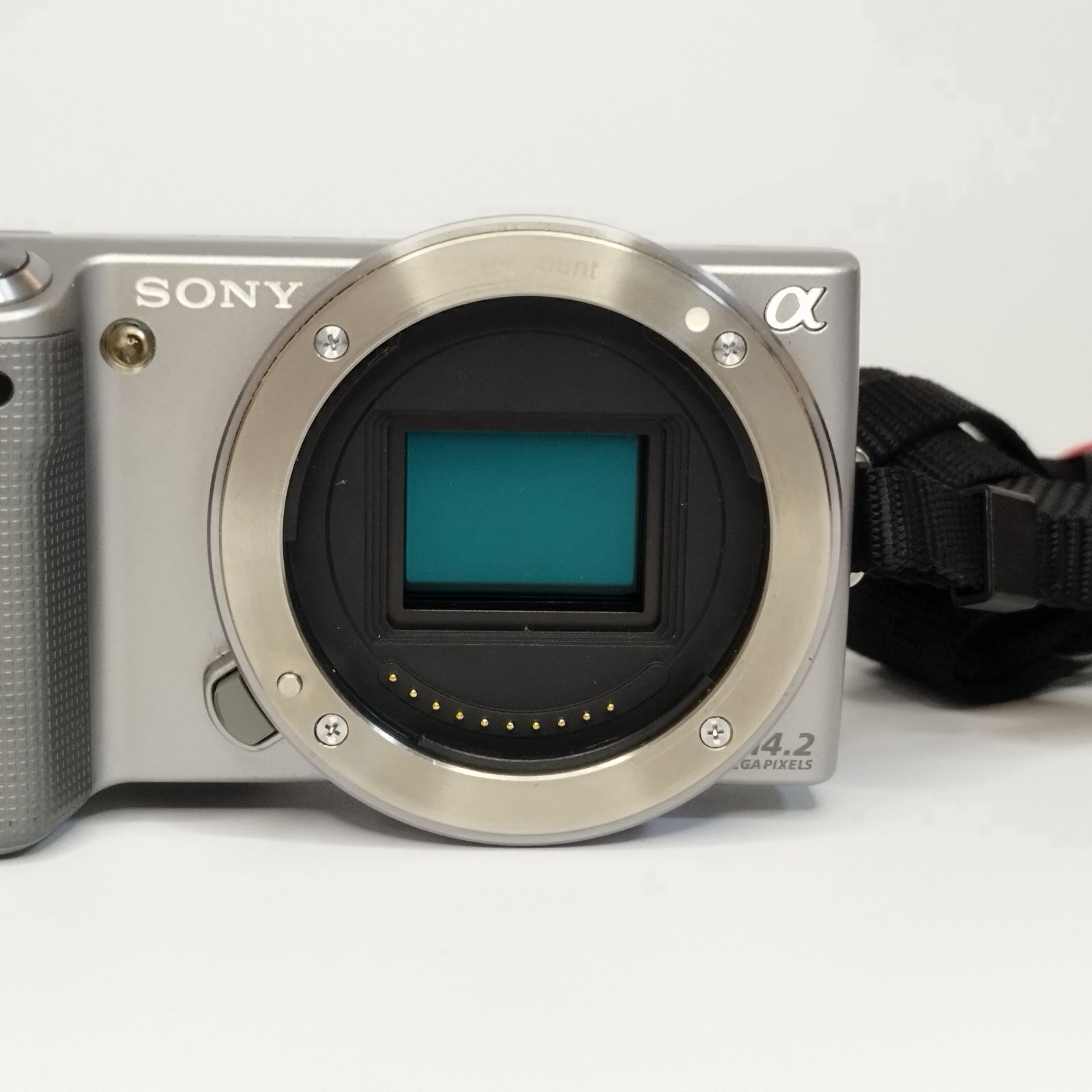 デジタル一眼カメラ Eマウント