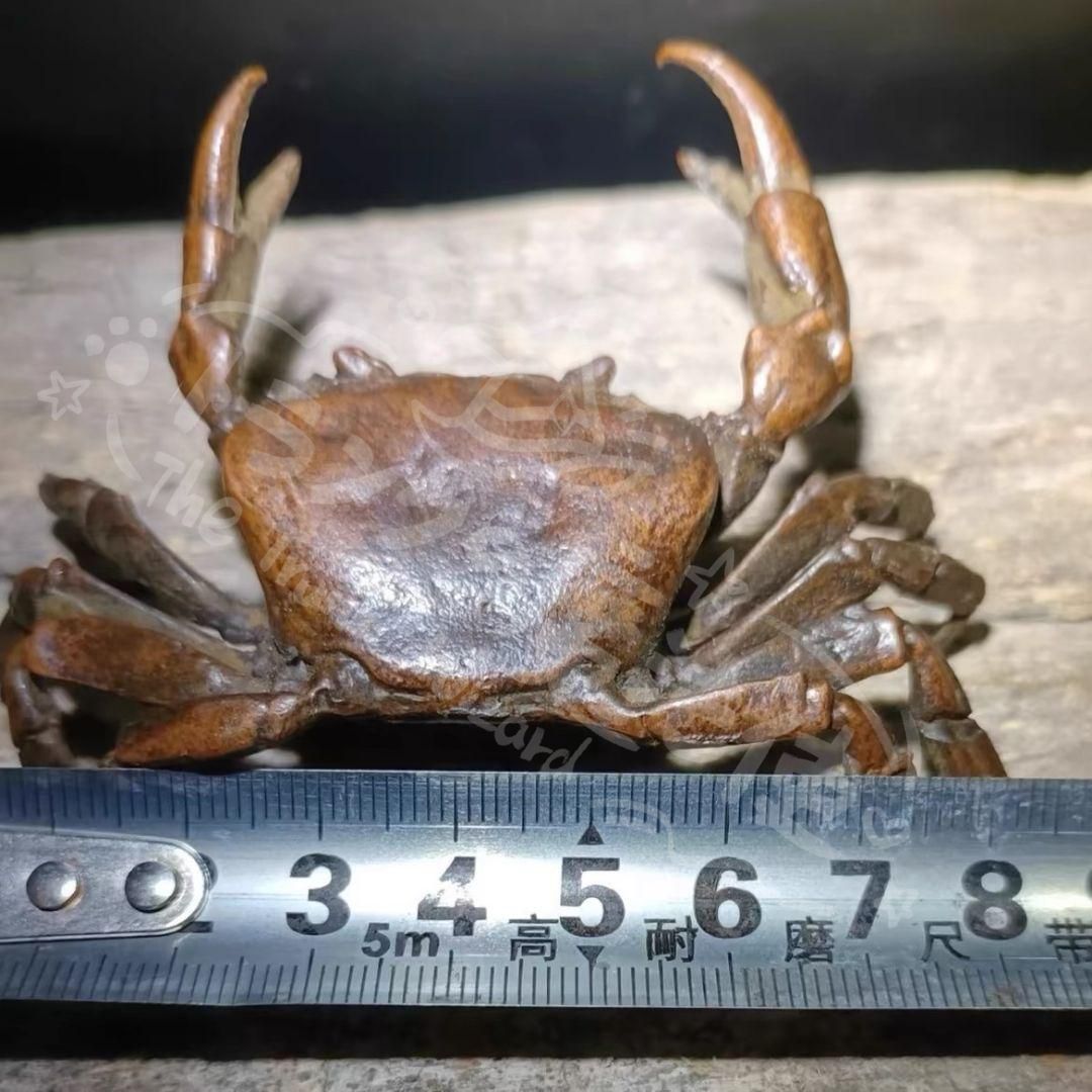 新年ギフト銅 細工 茶道具 香道具 蓋置 置物 カニ 書道具 文房具 銅製