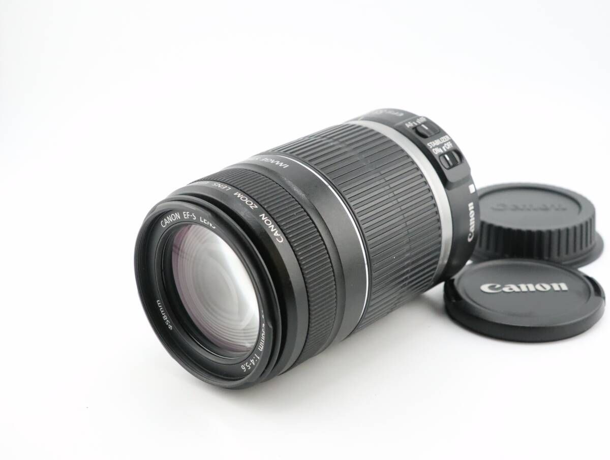 上品 キヤノン CANON EF S 55 250 mm F 4 5 6 IS W 1154＃3865
