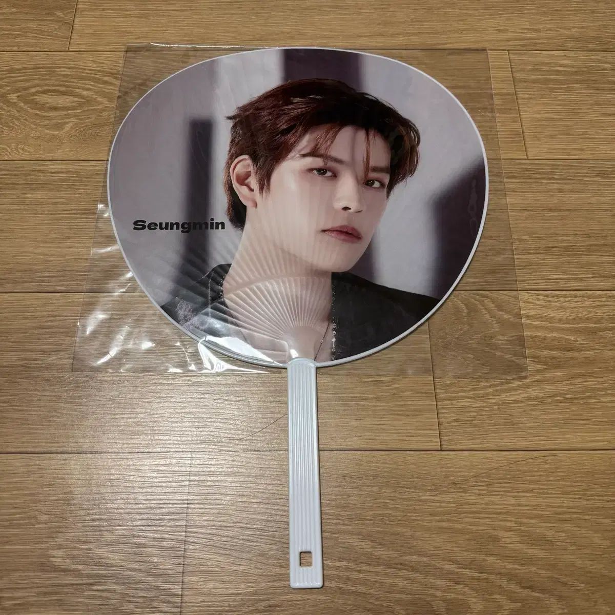 straykids スンミン(SEUNGMIN) うちわ - メルカリ