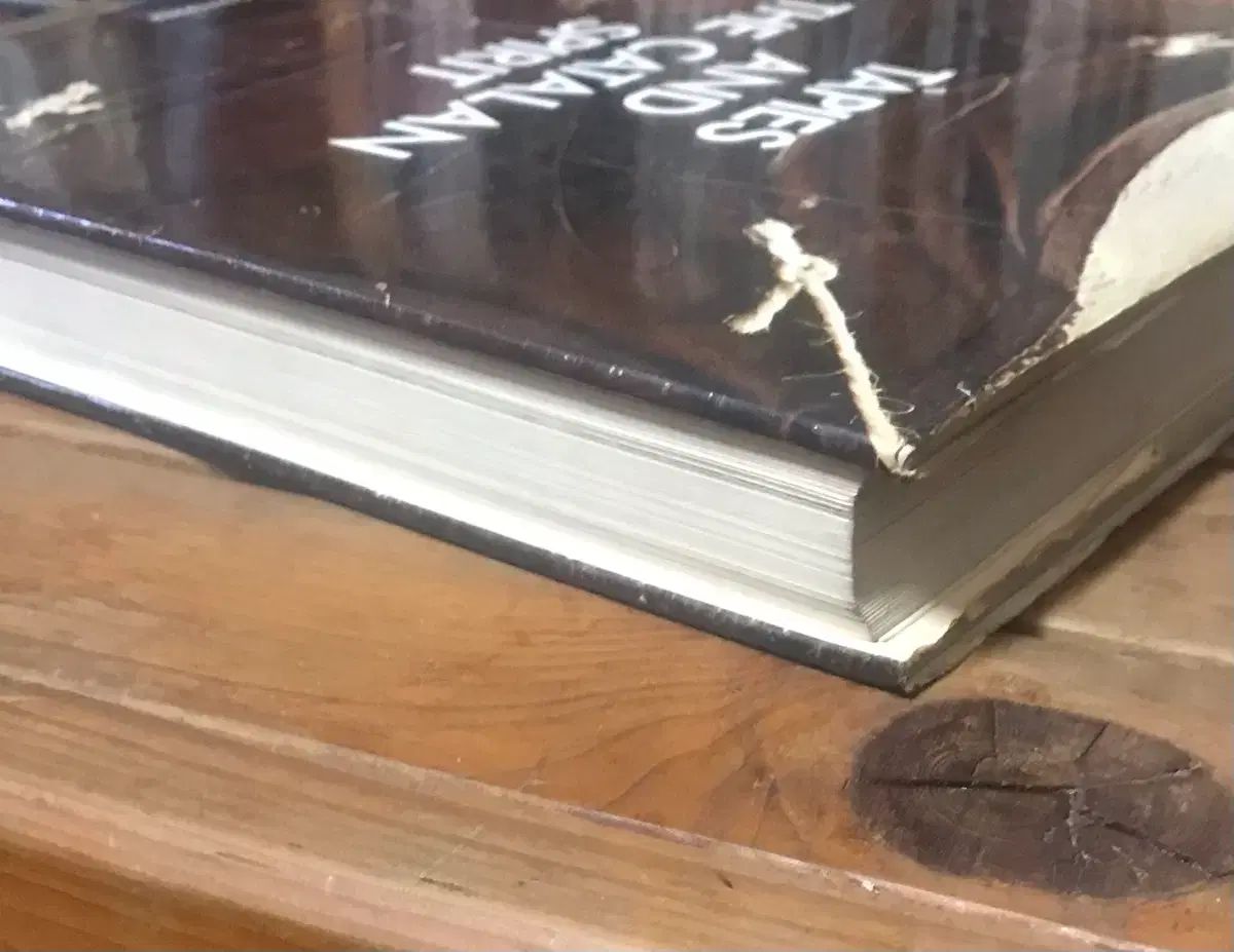 タピエス作品図録 タピエスとカタルーニャ精神