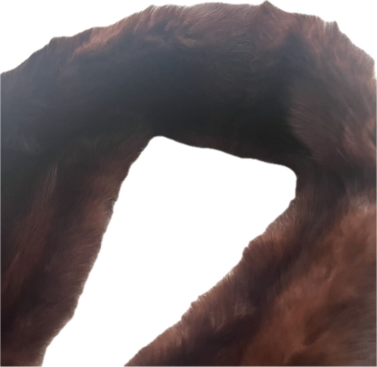 russian sable ロシアンセーブル　マフラー　ティペット ロシアンセーブル RUSSIAN SABLE SOBOL ソボル ティペット - メルカリ