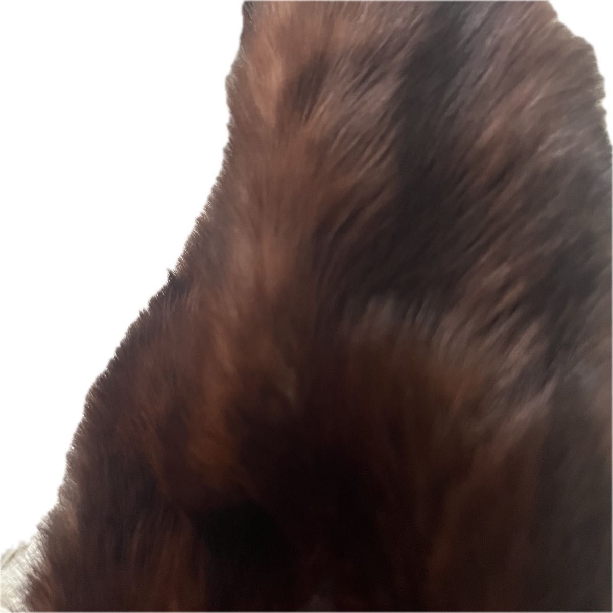 高級】Russian Sable ロシアンセーブル 高級リアルファー