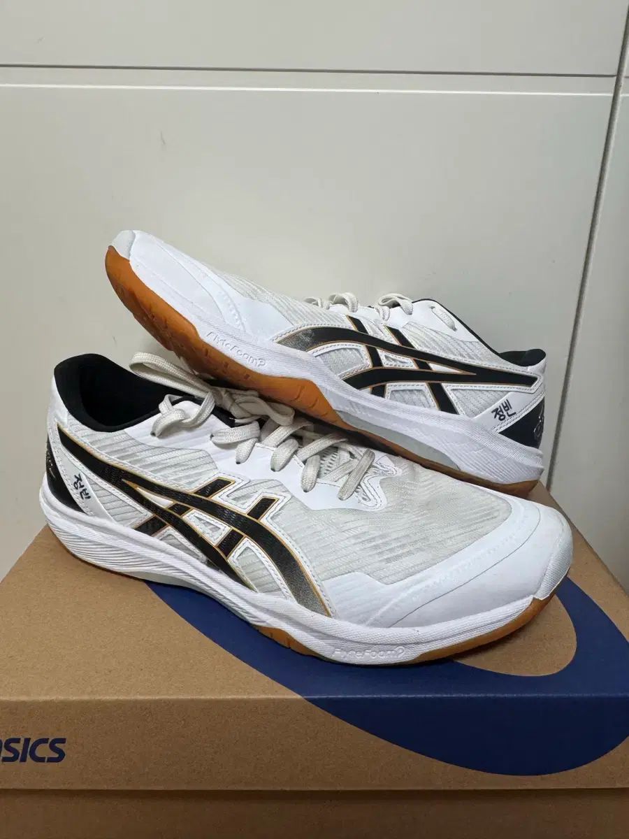 真作保証 掛軸 掛け軸 坂本 楽山人 日本画 「翔鶴(飛鶴)」 肉筆 真作保証 掛軸 掛け軸 坂本 楽山人 日本画 「翔鶴(飛鶴)」 肉筆 - メルカリ