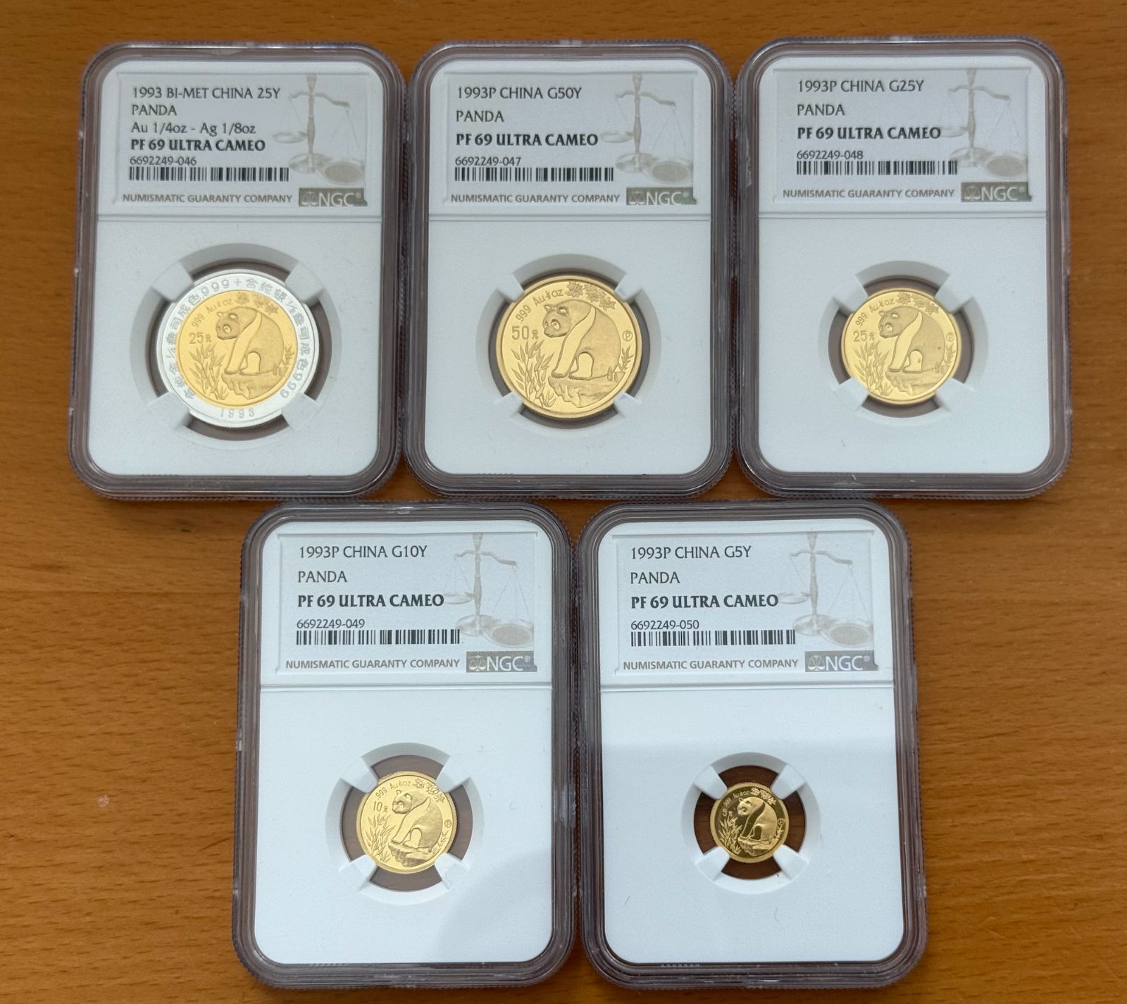 NGC MS66RD 1993年 中国パンダ5元銅貨 完全未使用 鑑定品 NGC MS66RD