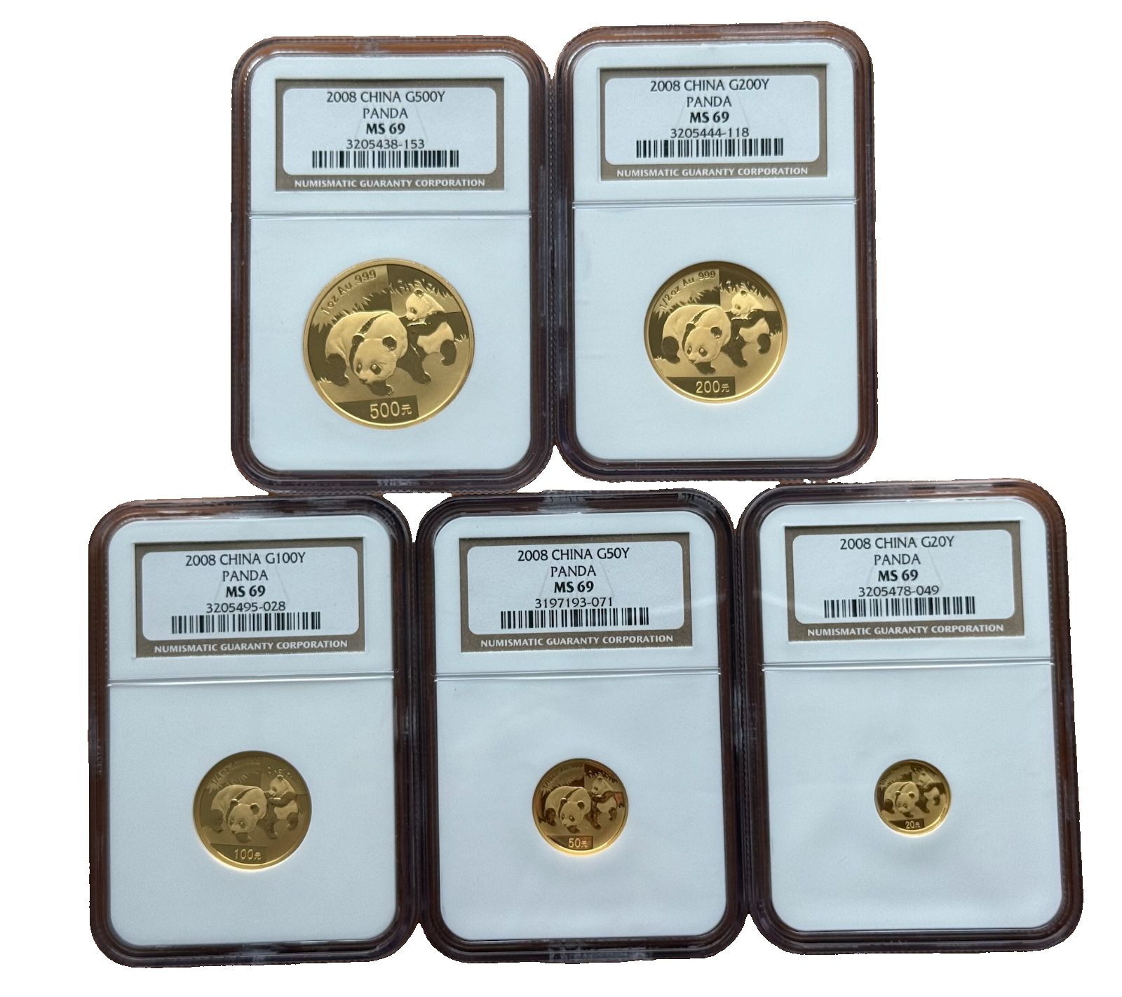 中国 2008年 フルゴールド 1.9オンス パンダ コイン 5枚セット UNC NGC