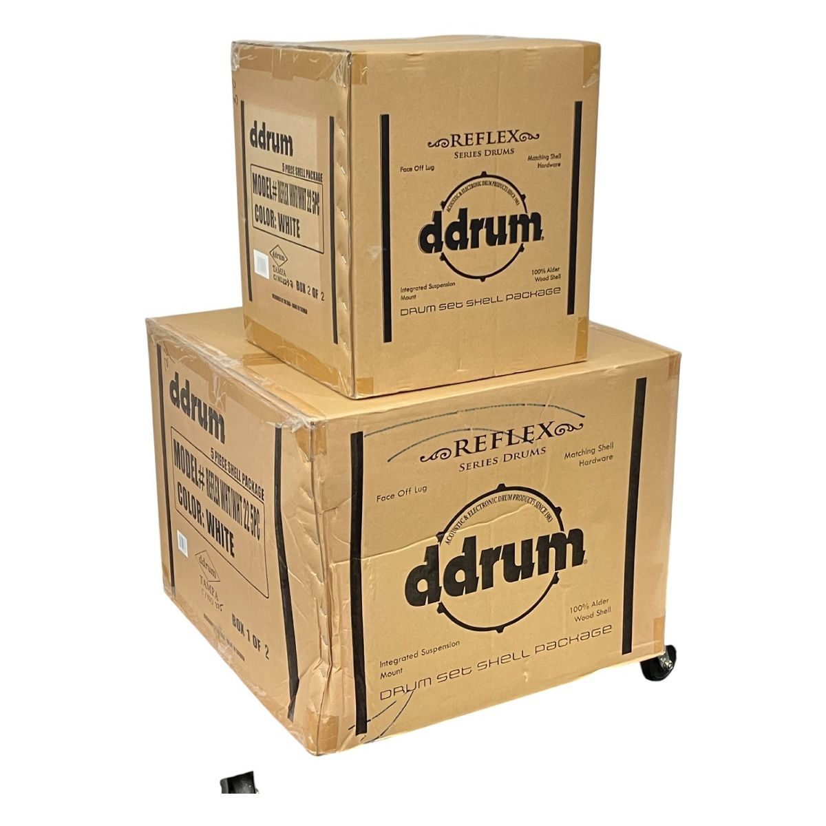 ddrum REFLEX WHT 22 5 PC kit White ドラムキット 楽器 バンド 演奏