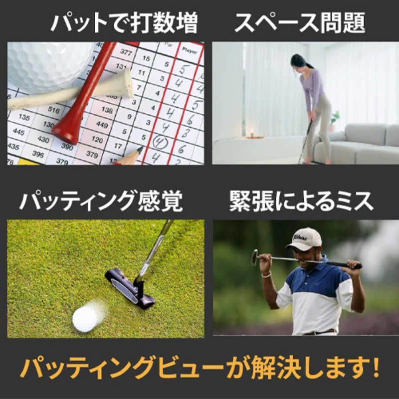 新品 未開封 】 LYNX XVIC Putting View エックスビック パッティング