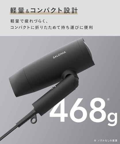 SALONIA サロニア スピーディーイオン ドライヤー 大風量 速乾 軽量 マイナスイオン ヘアドライヤー SL 013 GR グレー 6879 fe 75 その他 キッチン 食器 キッチン 日用品 その他