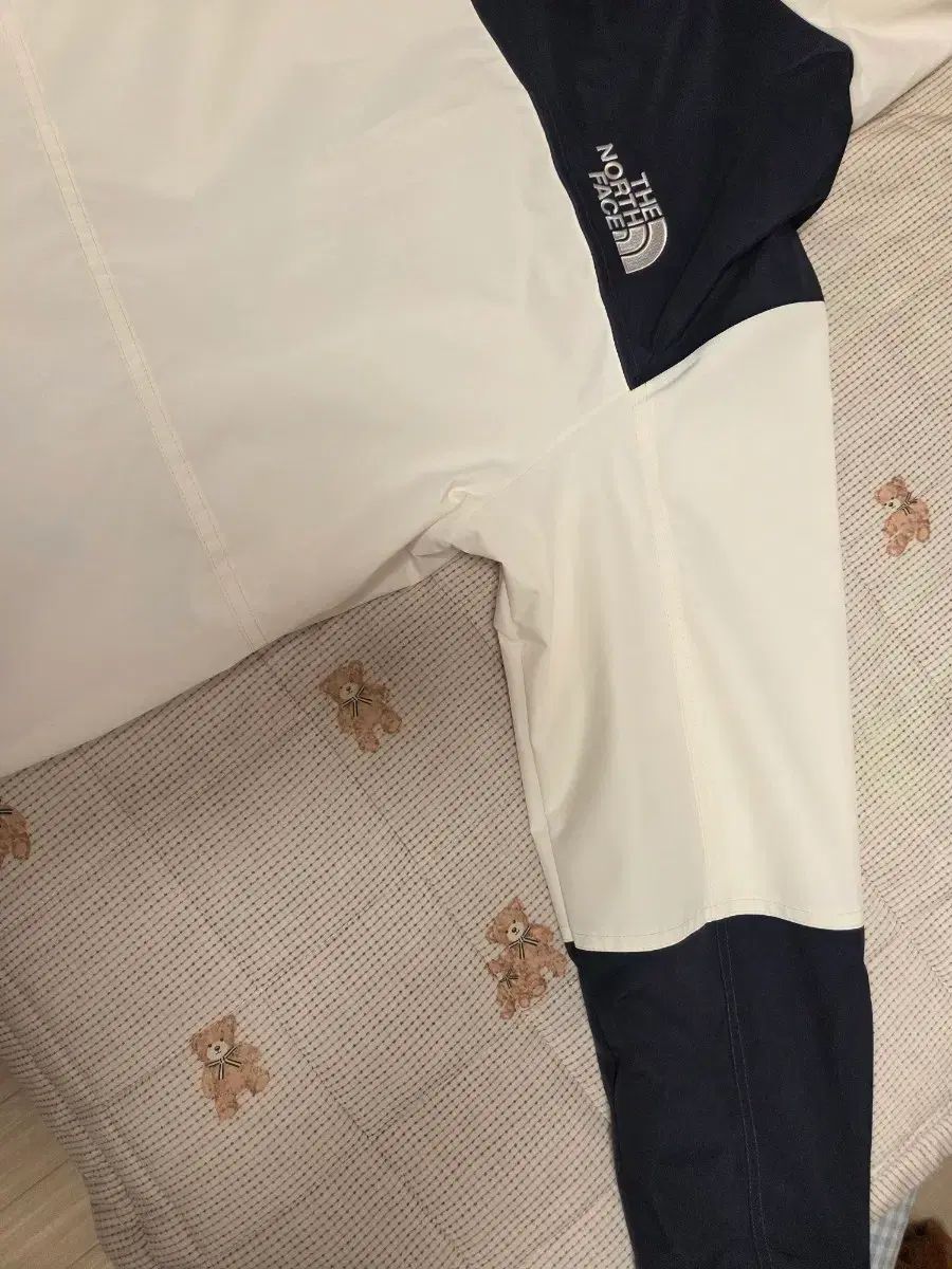  THE NORTH FACE NEO BAE ウインドブレーカー ジャケット 95 m その他 アウター