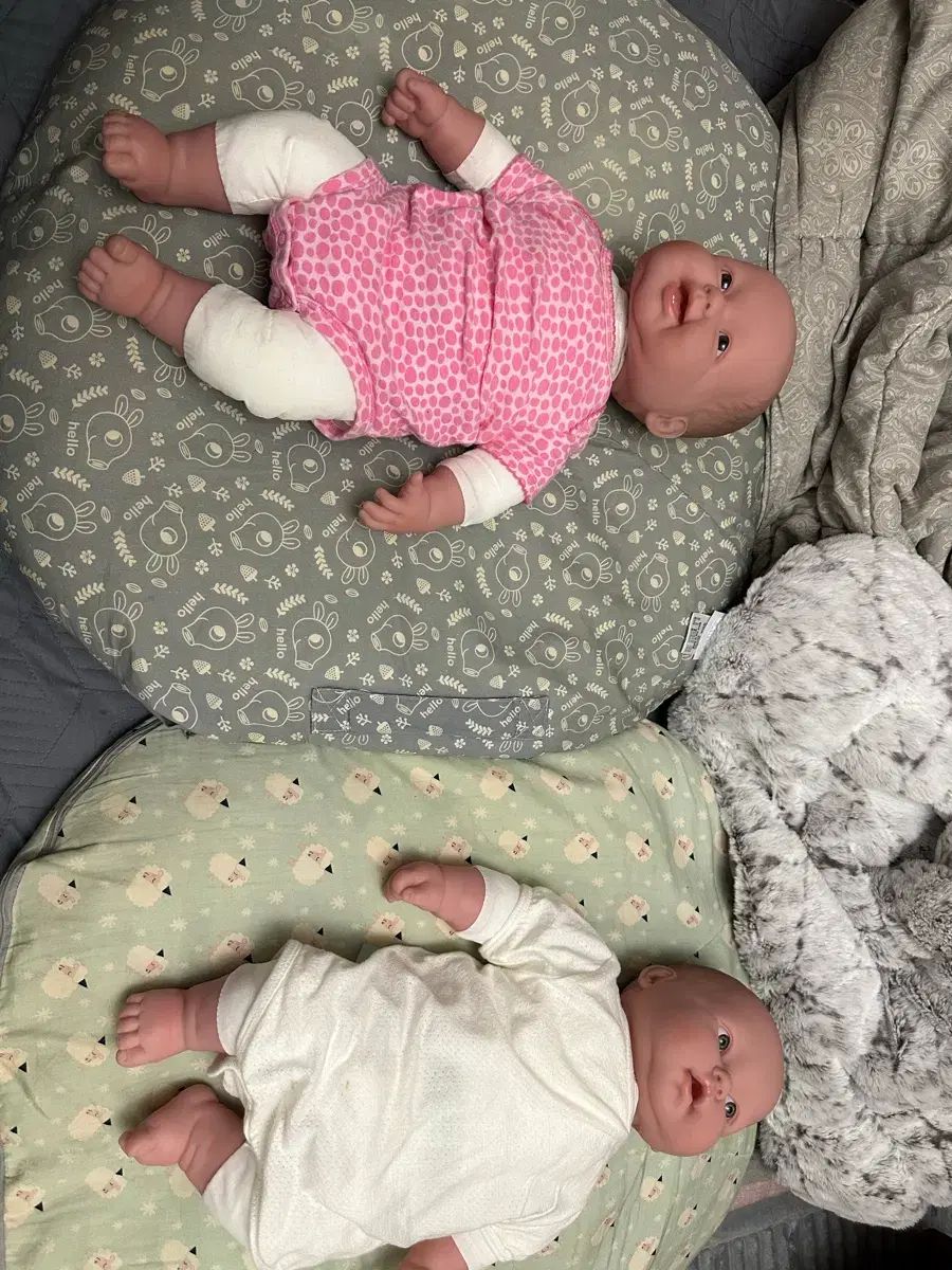 ベレンゲール ラッツクゥドゥル 抱っこして 50 cm 異性双子 用品含む