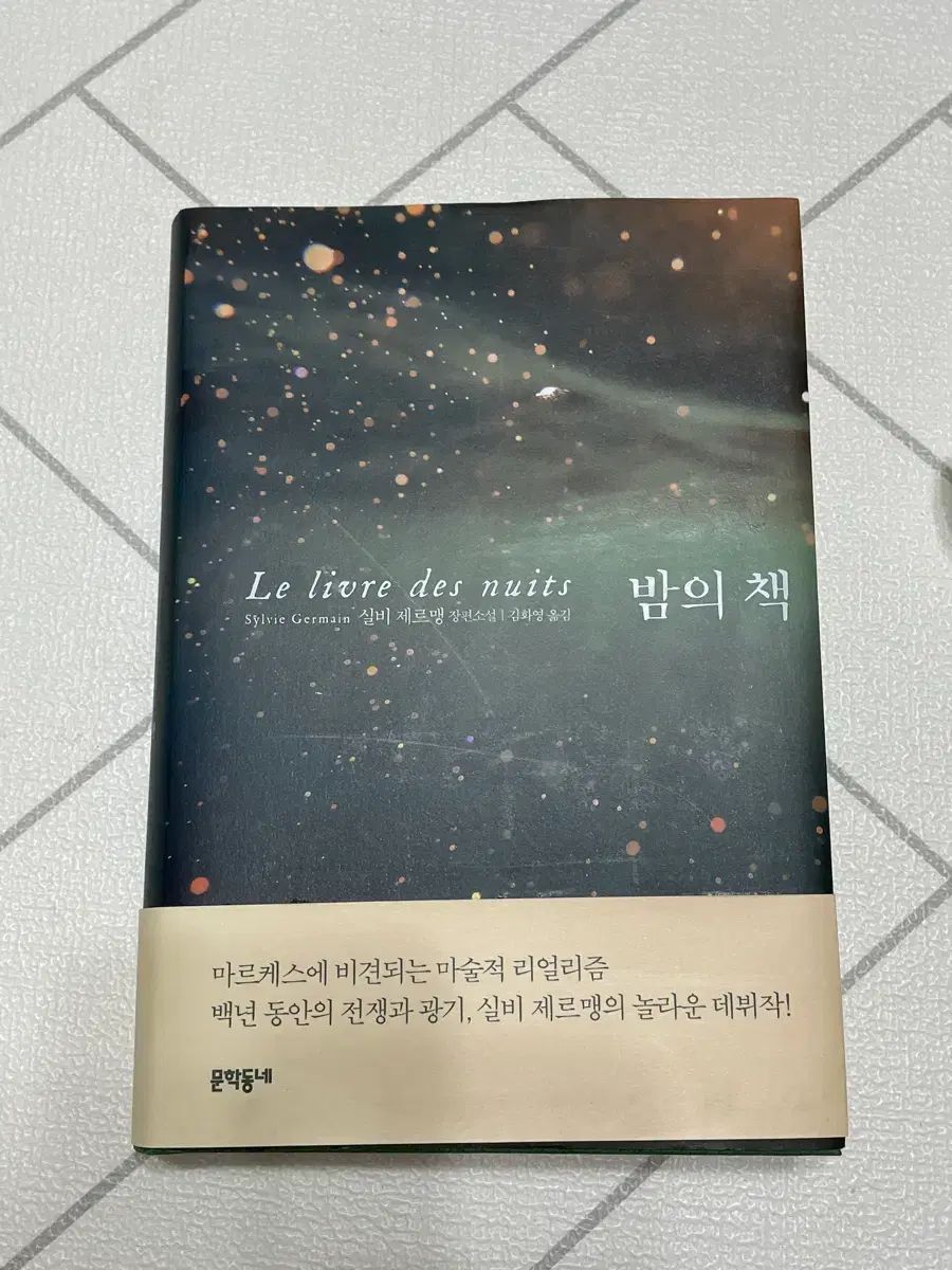 Gustavsberg/グスタフスベリ○Bagdad○三角錐の家no.2