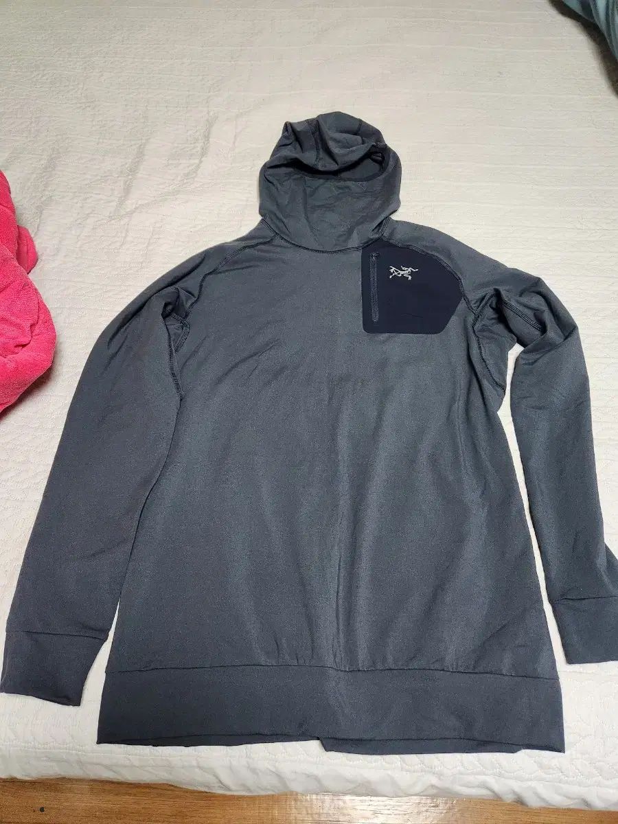 ARC TERYX アークテリクス ストライカフ―ディー メンズ S 95 97