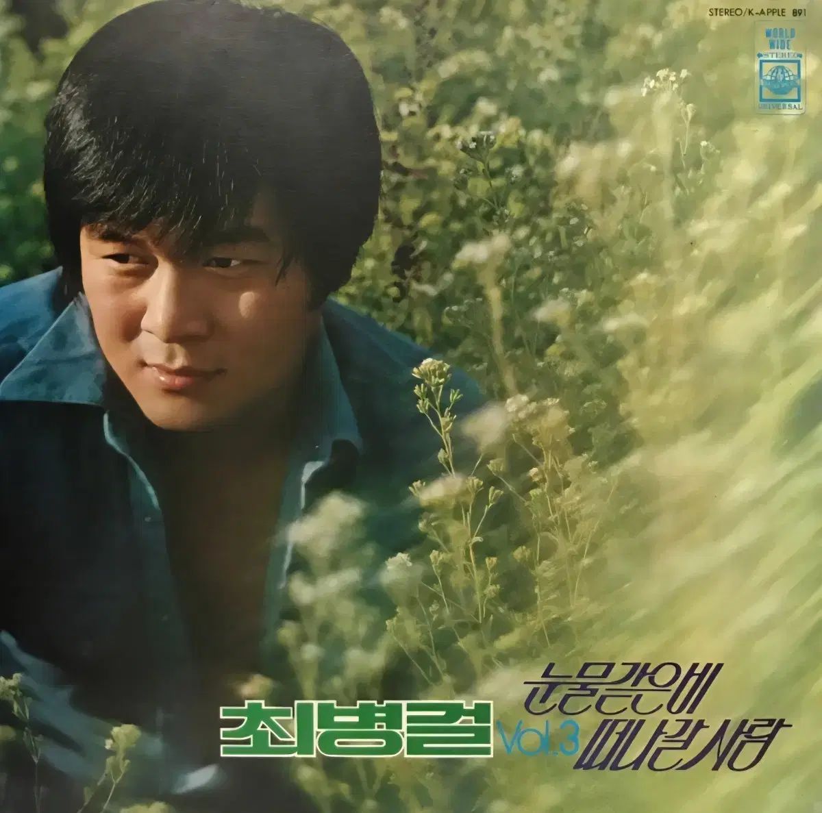 LP チェ ビョンギョル 早い 3 家 アルバム