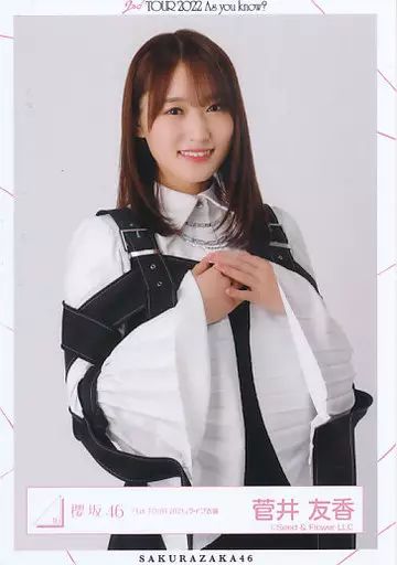 中古】生写真(乃木坂46) 菅井友香/上半身/櫻坂46ランダム生写真