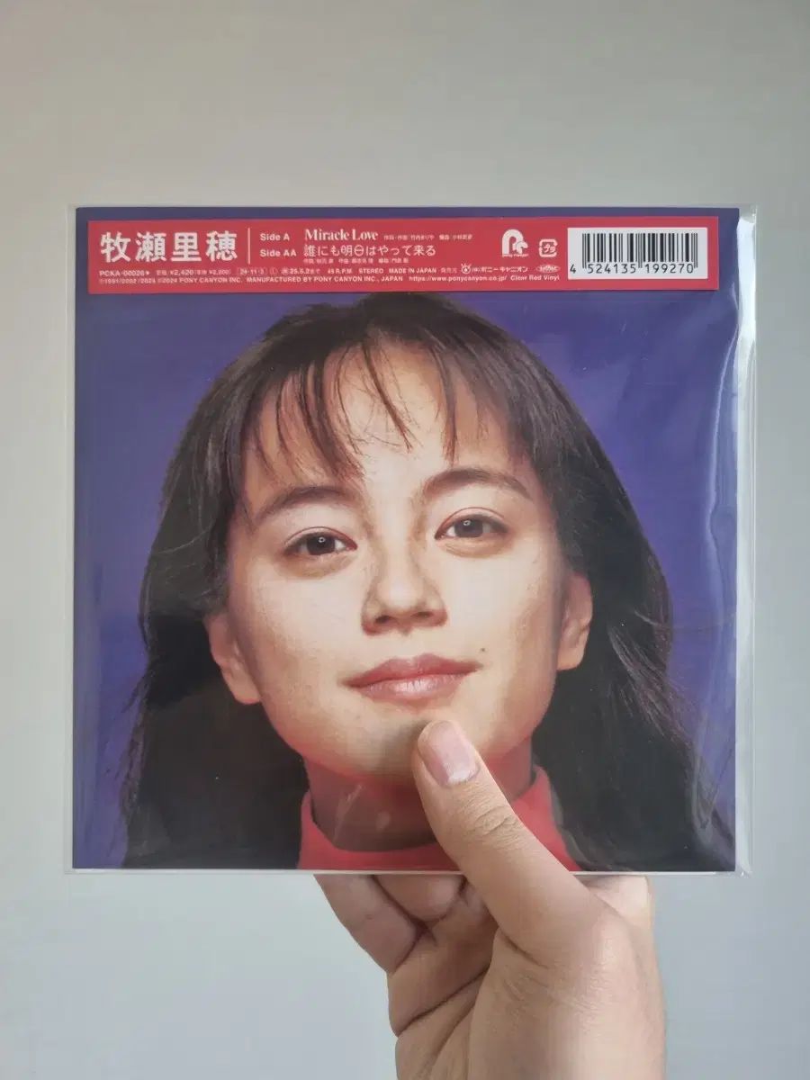 ウェッジウッド　キャベンディッシュ　ディナープレート　27.5cm CD】ましまろに