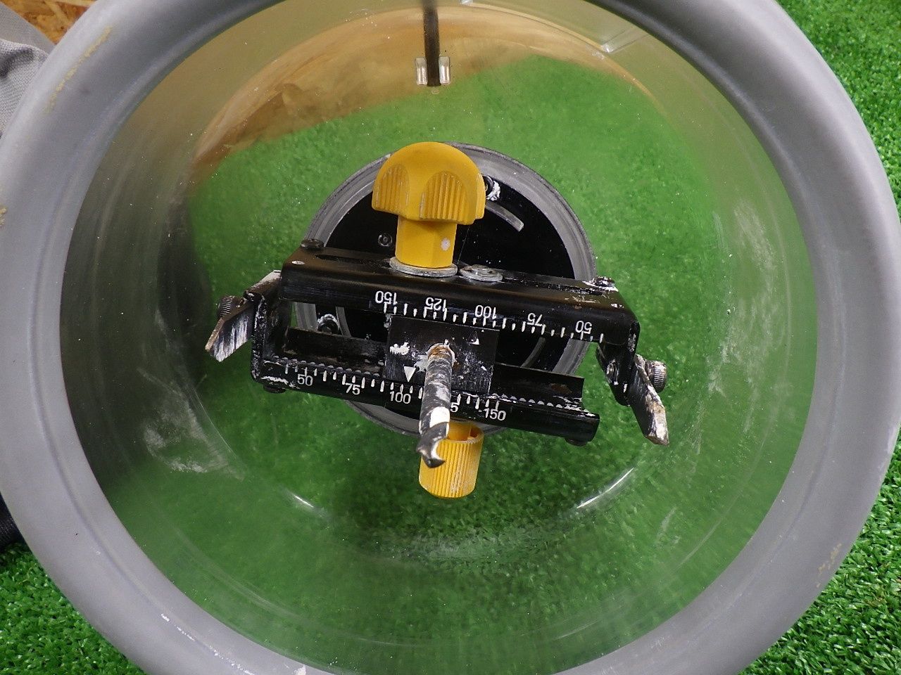 フリーホルソー