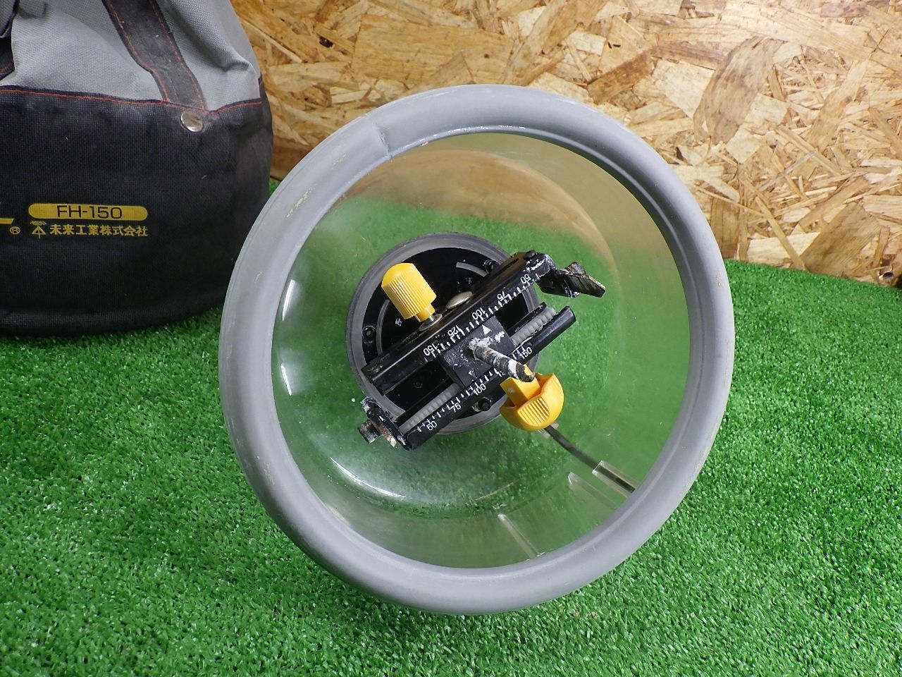 フリーホルソー