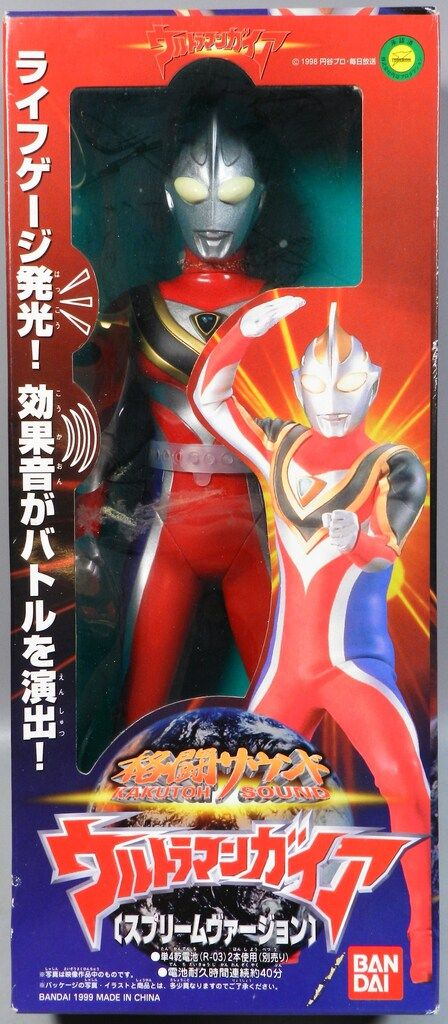 Tara Books Miracle of flight