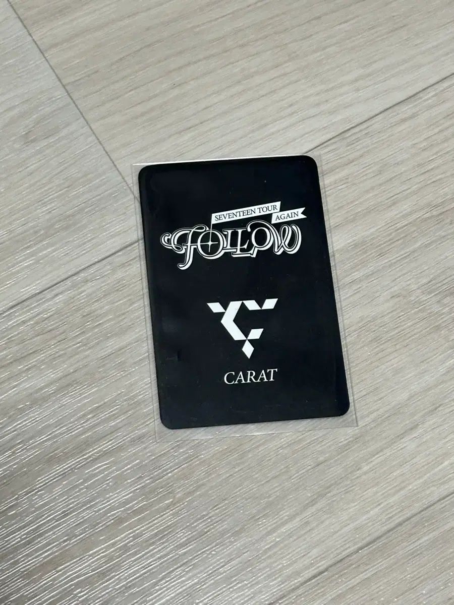 SEVENTEEN(セブンティーン・セブチ) FOLLOW TO SEOUL ディノ CARAT