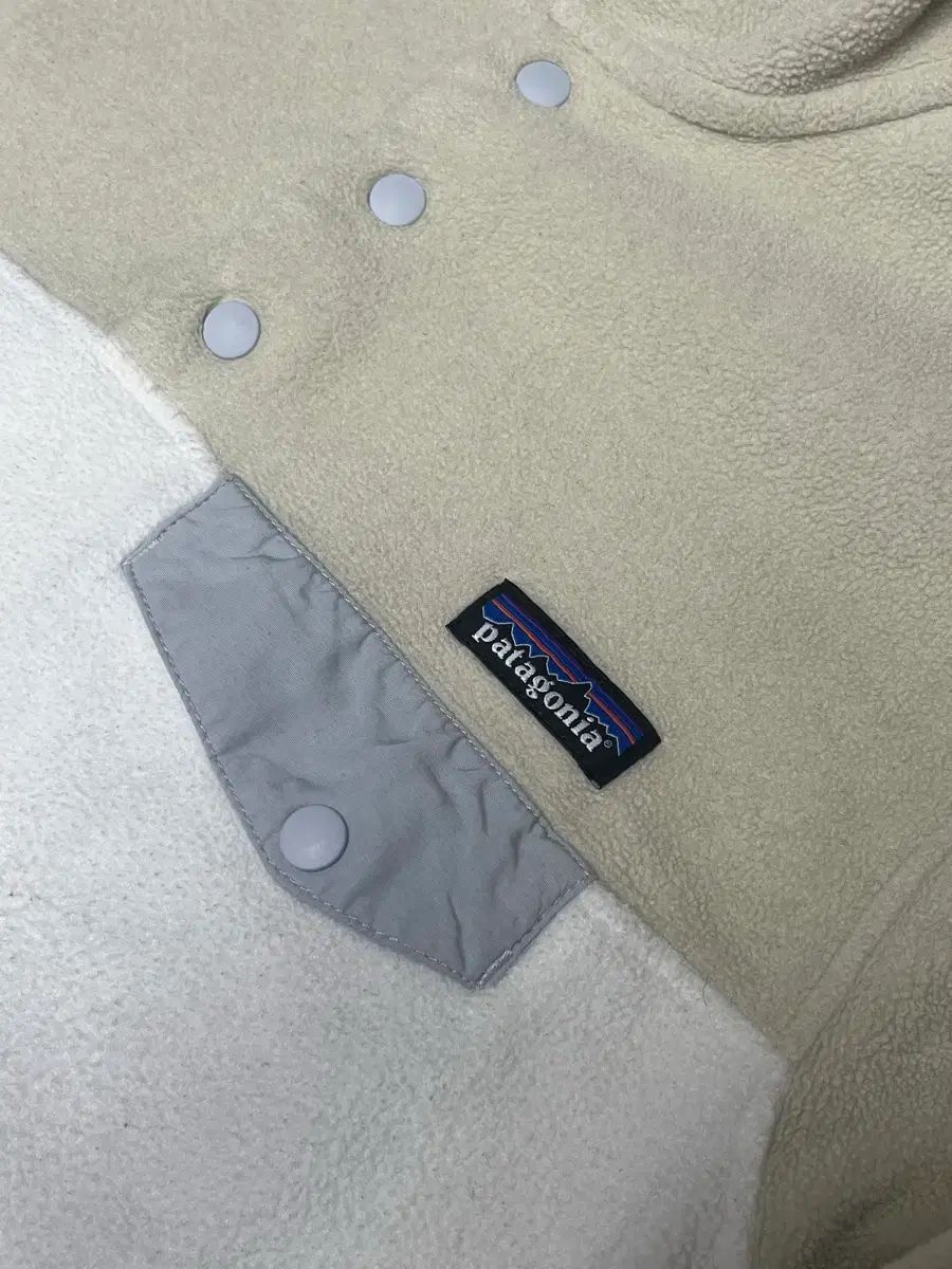 patagonia パタゴニア Synchilla シンチラ ウィメンズ Mサイズ