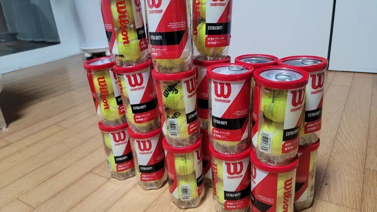 ウィルソン チャンピオンシップ テニスボール 24カン