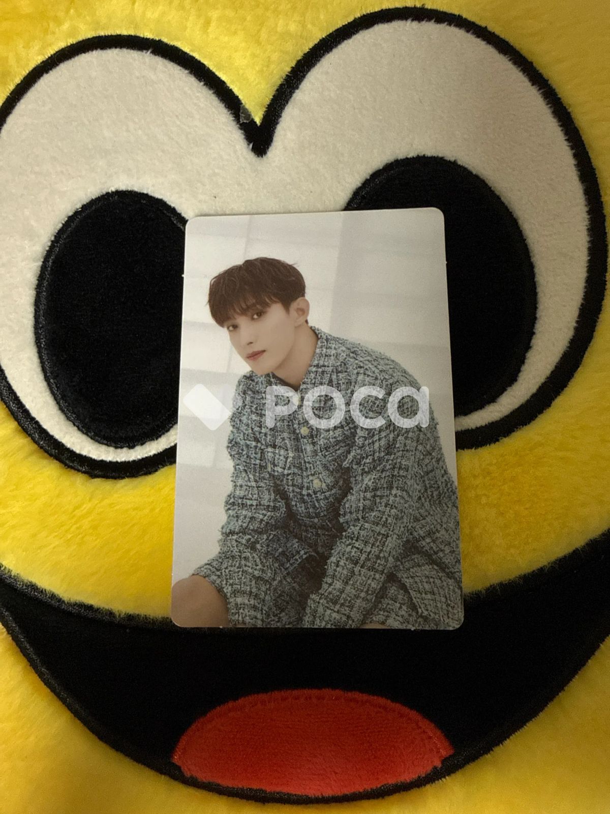 SEVENTEEN ドギョム セブチ SEVENTEEN TOUR FOLLOW TO SEOUL