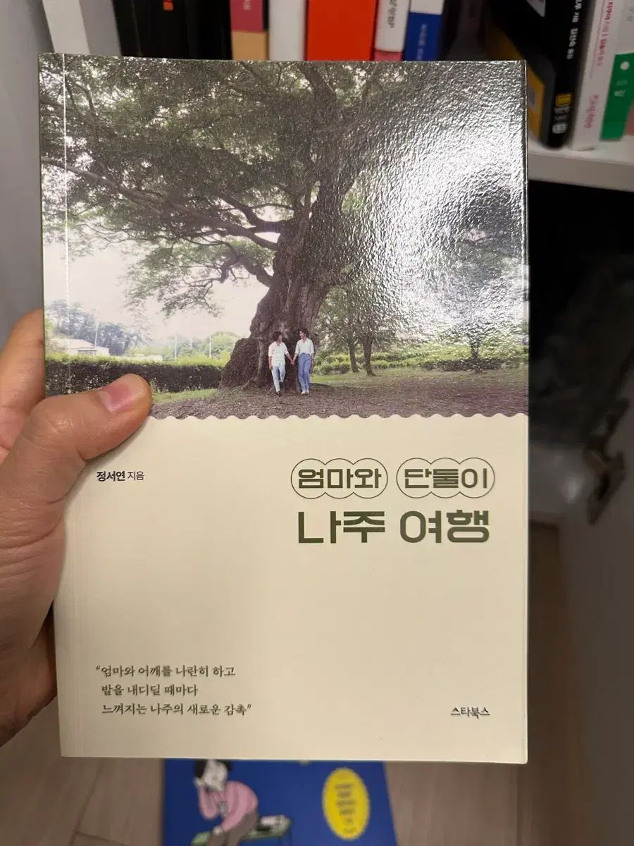 藤原郁子作品 割引 風景画 額縁付