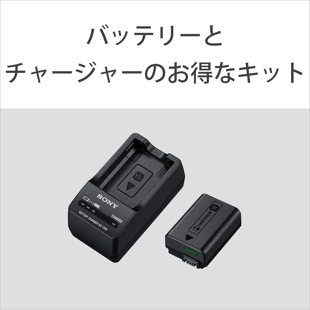 ソニー SONY カメラ用バッテリー チャージャーセット ACC TRW Wバッテリー用