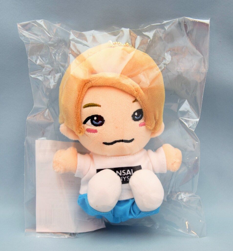 Aぇ!group 21年あけおめコンサート2021 正門良規 ちびぬい - メルカリ