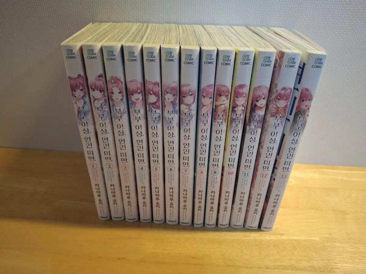 夫婦以上恋人未満全巻セット 1 13