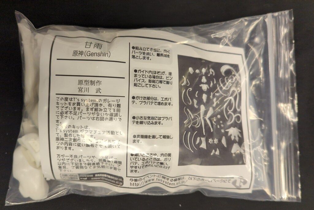 T s system レジンキャストキット 原型 宮川武 甘雨