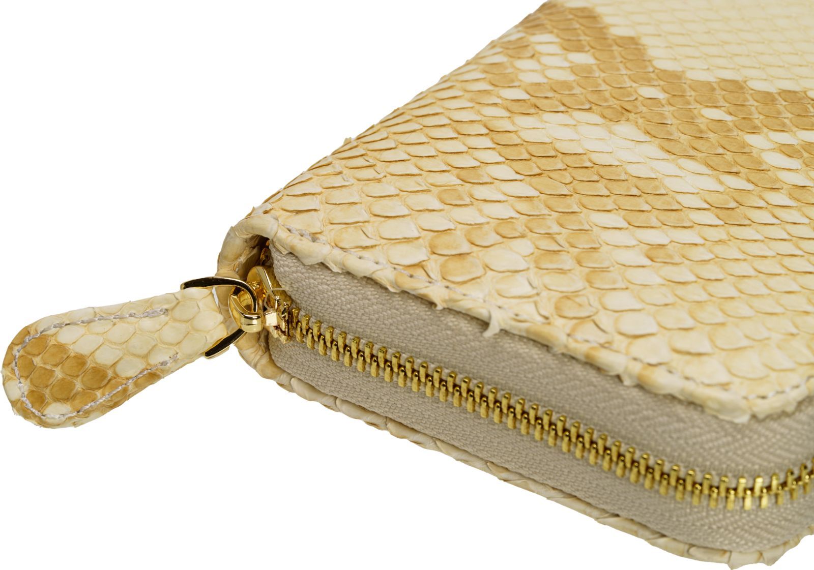 白蛇の気品と静かな艶を纏う