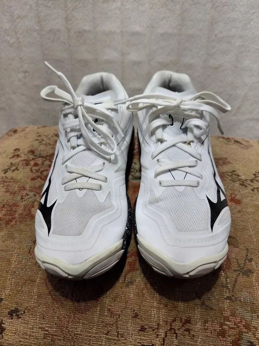 ミズノ バレーボールシューズ 白 スニーカー