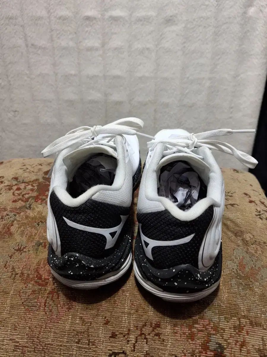 ミズノ バレーボールシューズ