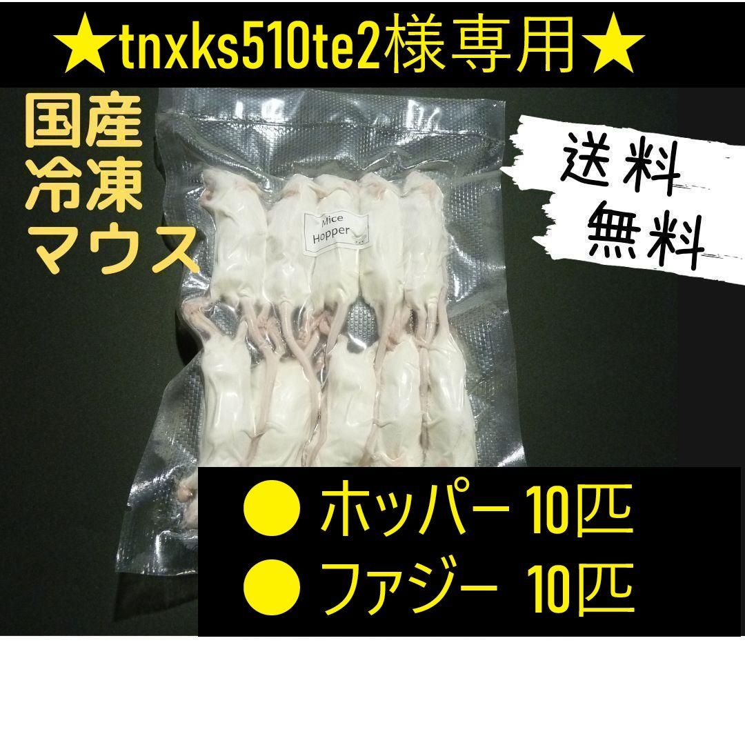 ☆tnxks510te2様専用☆国産冷凍マウス ホッパー 10匹、ファジー10匹