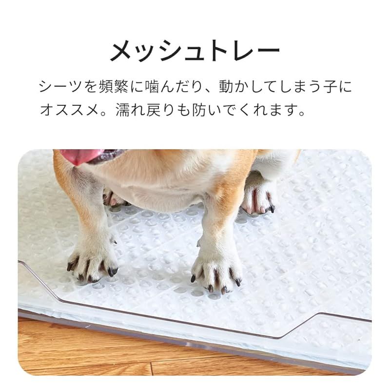 犬 トイレ