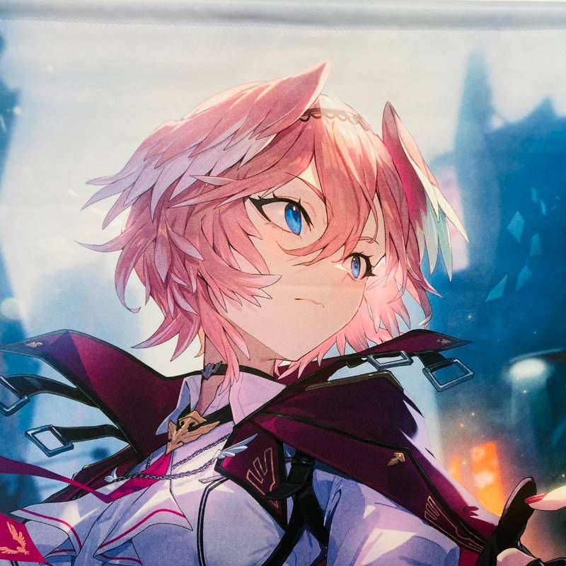 hololive VTuber 鷹嶺ルイ かかげ先生 描き下ろし タペストリー 3本 