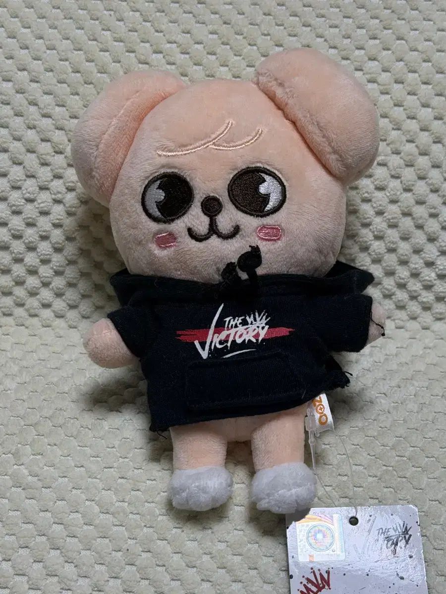 Stray Kids(ストレイキッズ・スキズ・SKZ) スキズ ザ・ヴィクトリー