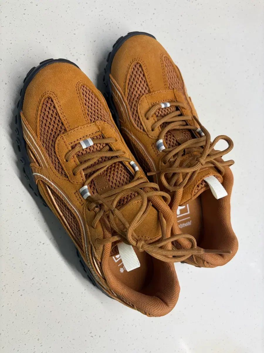 エシャペ キャメル