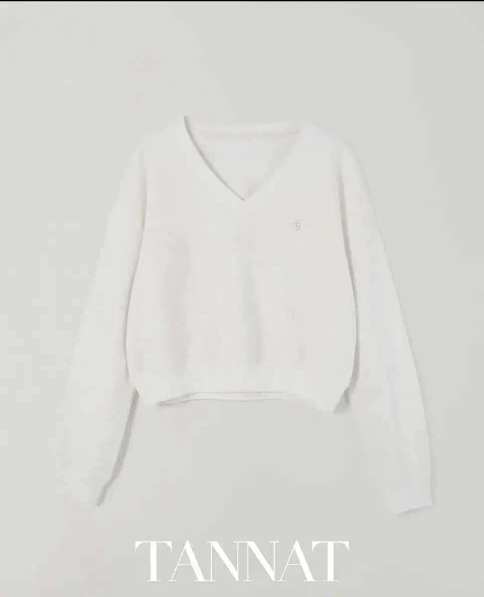 TANNAT スウェット シャツ Vネック