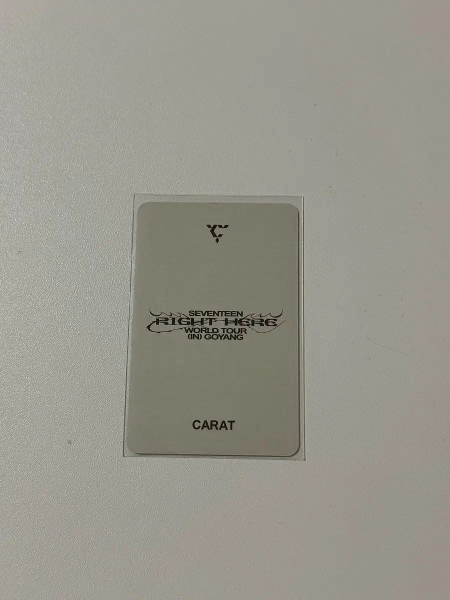 SEVENTEEN(セブンティーン・セブチ) ミンギュ(MINGYU) ゴー コンサート