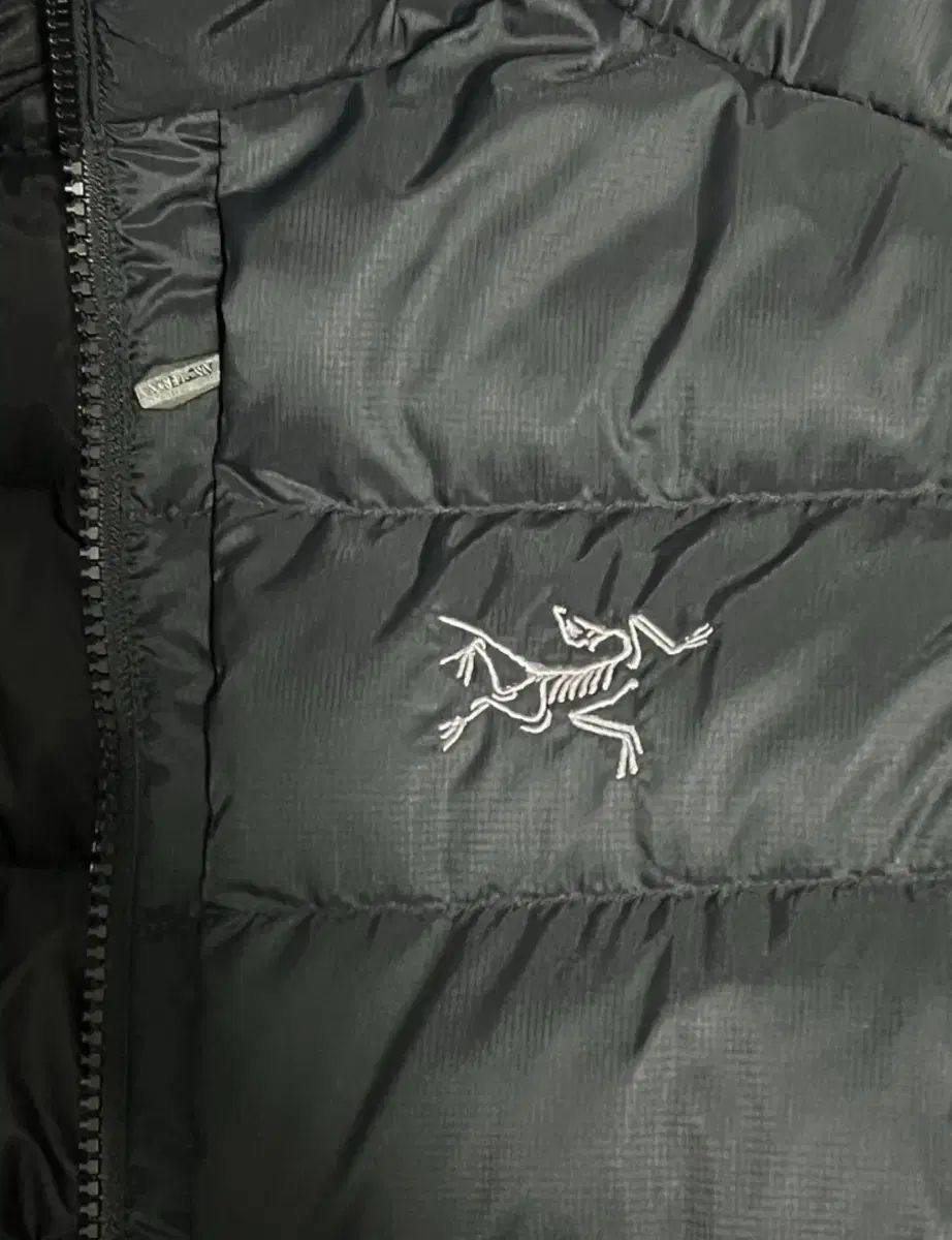 ARC TERYX アークテリクス トーリム フーディ ブラック