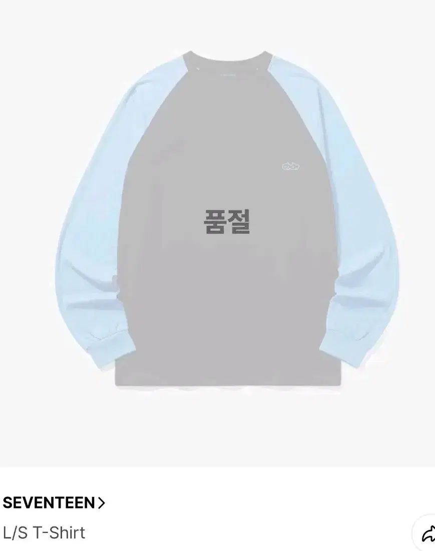 SEVENTEEN セブンティーン セブチ SVT CXM シーエックスエム エスクプス S COUPS スンチョル ミンギュ MINGYU MD