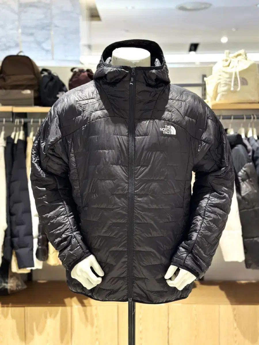 ノースフェイス サミット ヒートライン 軽量ダウン XL