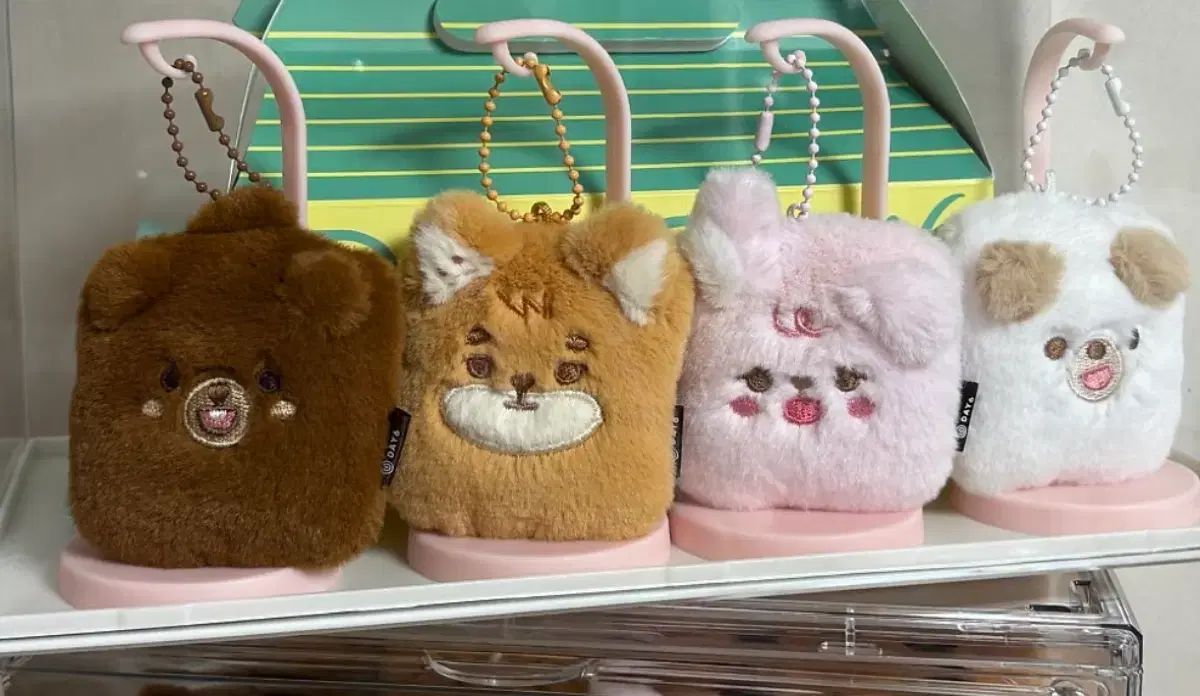 DAY6（デイシックス） ID トレカホルダー まとめ - メルカリ