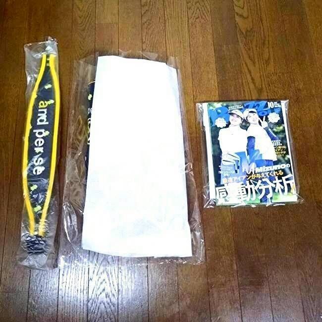 キャディバック