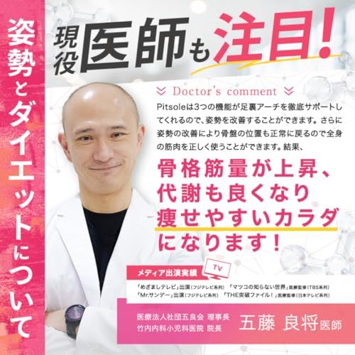 脱臭シート1組 ピットソール