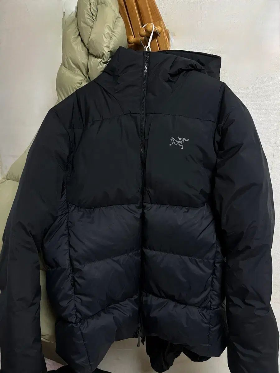 ARC TERYX アークテリクス トーrium SV ブラック フーディー L